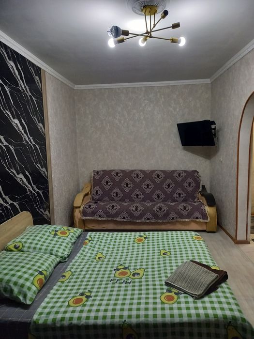 1 ком   посуточно по центре