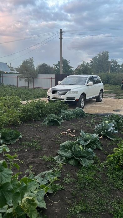 Продам дачный участок