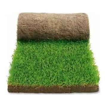 Gazon rulou, insamantare, vand si montez.