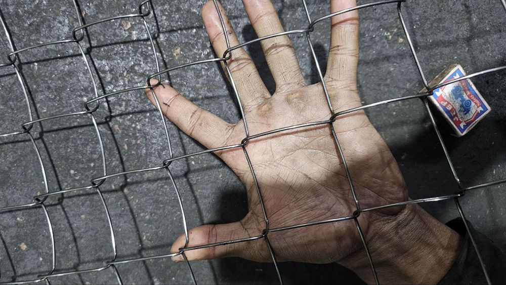 Сетка Металлические сетка Metal setka sim setka