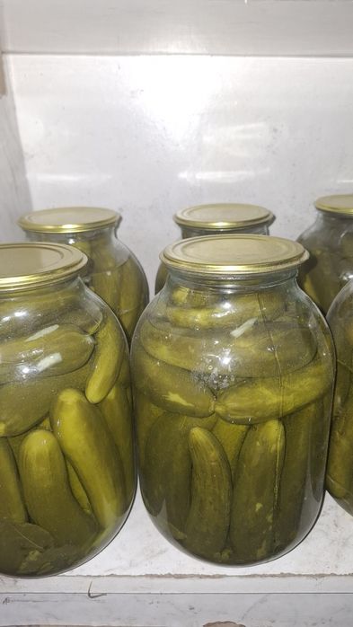 Огурцы  соленые  2л  1300 тн