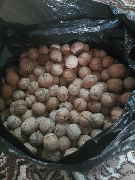 Орех (yong'oq) sotiladi.