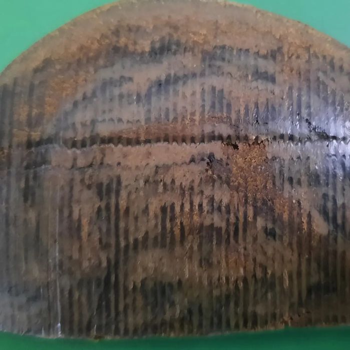 Прополис природный