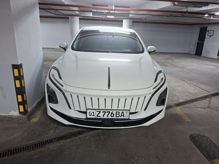 Hongqi EQM5 (450km)