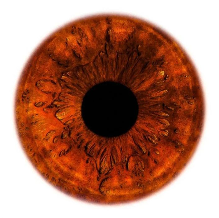 Фото радужки глаз