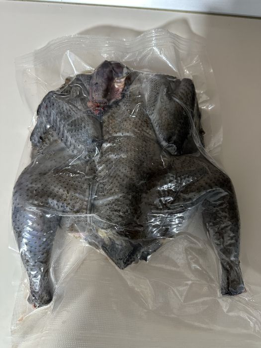 Ayam cemani,pasari de frumusete si incubat, rasa pura, complet negre