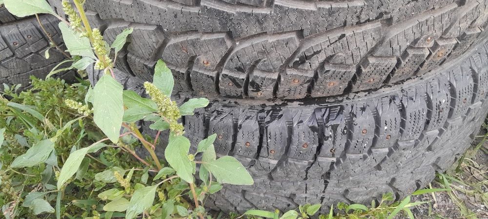 Продам покрышки оцене договоримся