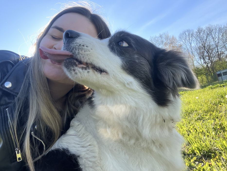 Pet Sitting în Brașov – Îngrijire cu grijă și iubire pentru animăluțul tău!