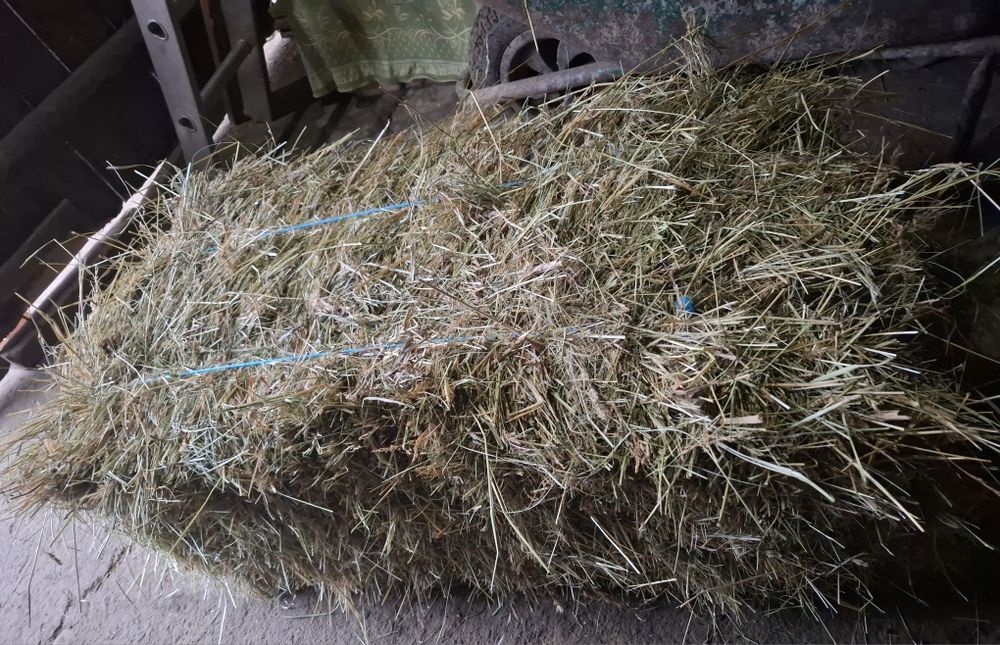 Baloți de fân pentru animale