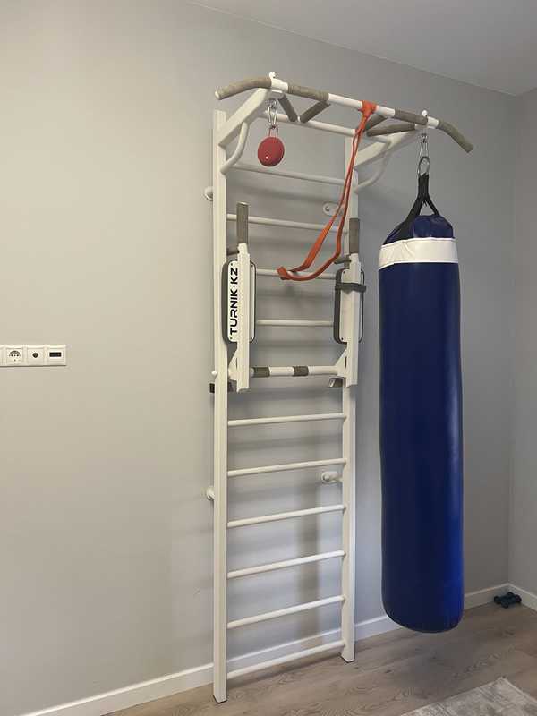 Турник боксерский с грушей 071826 BODYGYM