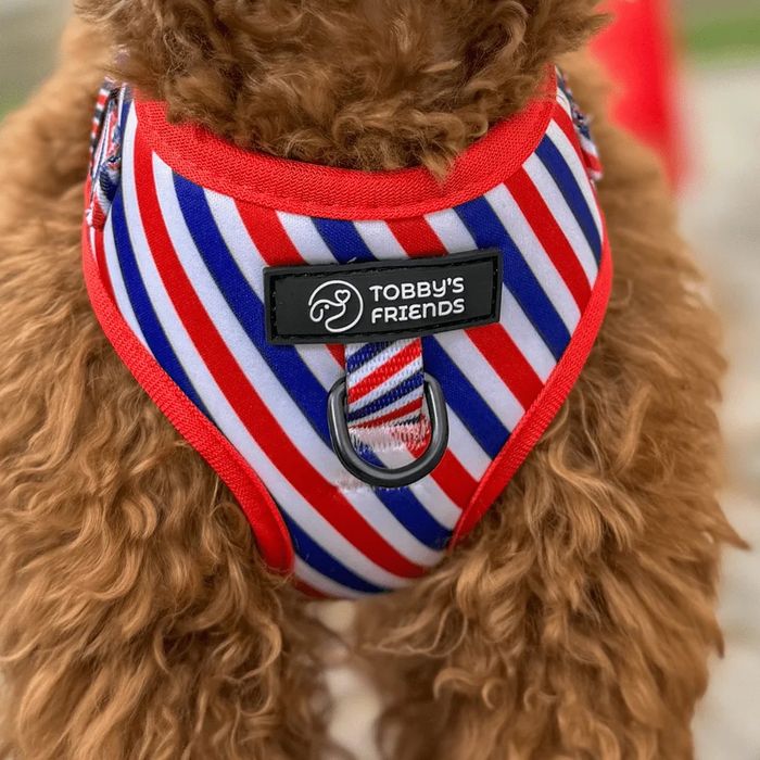 Кучешки нагръдник и повод - различни модели