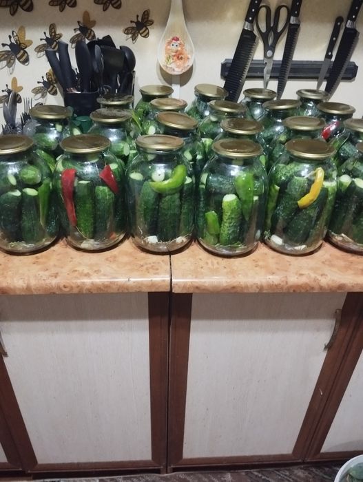 Продам солёные огурцы!
