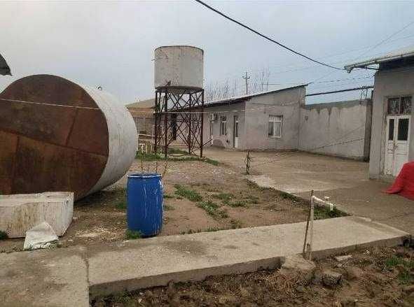 Продается парник и птицеферма