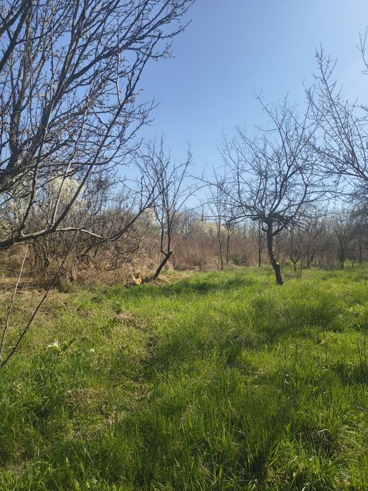Casă de vânzare cu teren mare – 3.500 m², zonă liniștită