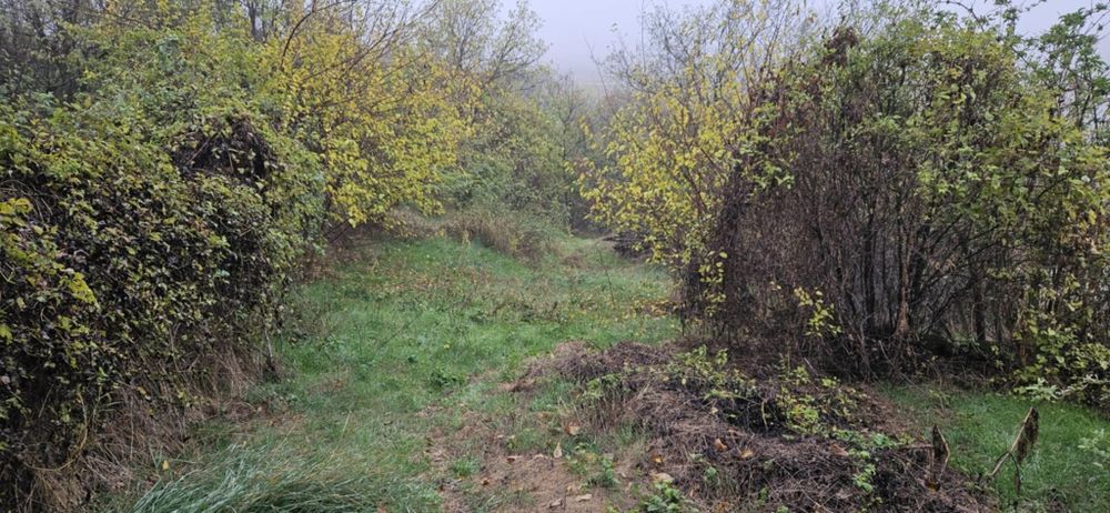 Продава се Къща в с. Пресяка, Област Ловеч - 60 кв.м за 170 €/кв.м - Снимка #9