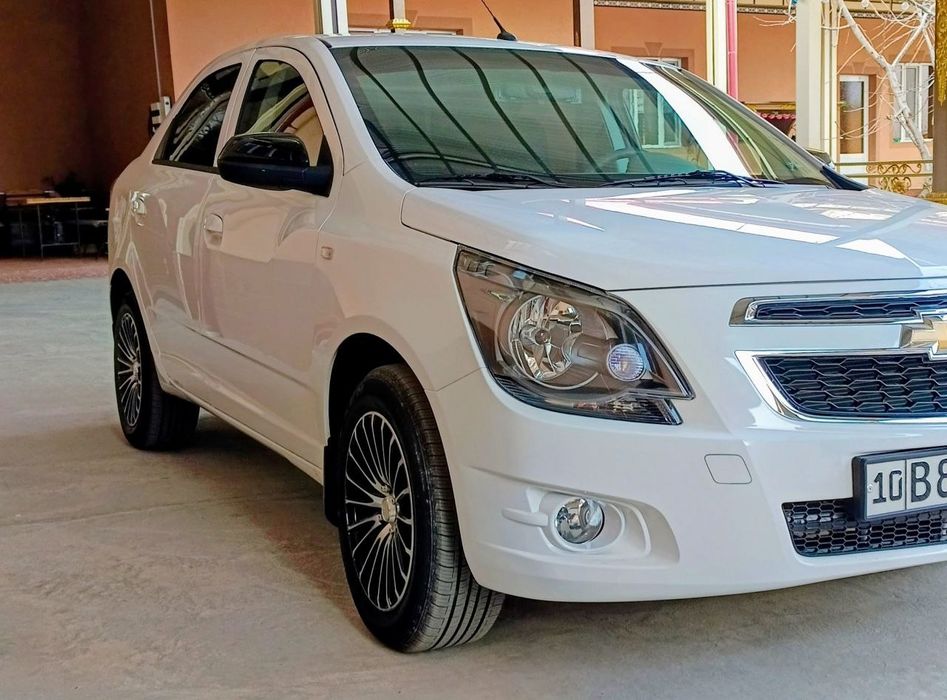 Cobolt Mignight 2025