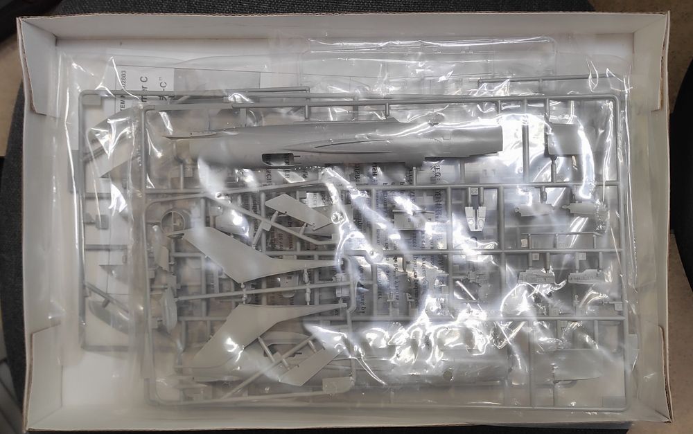 Модель самолета МИГ-19С