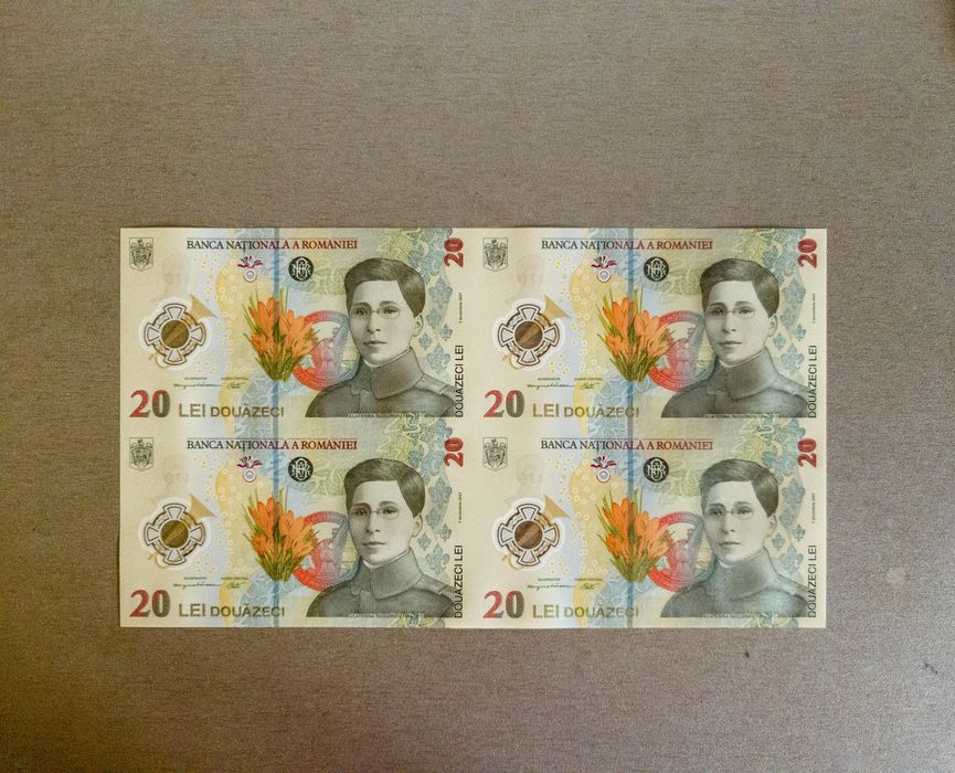 Coala cu bancnote de 20 lei emisă de BNR