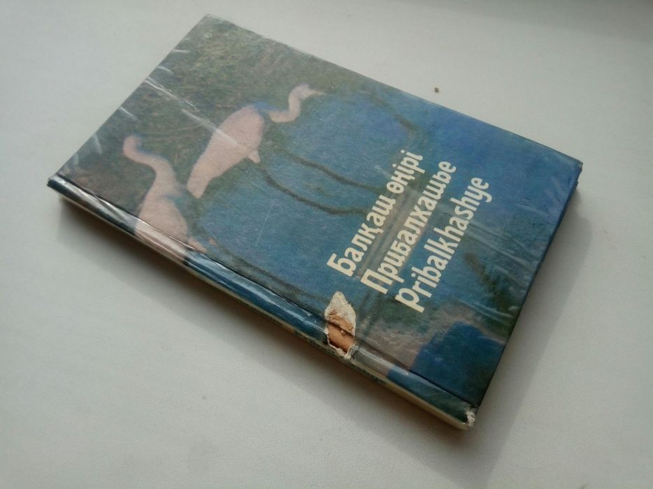 Прибалхашье.