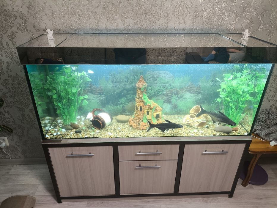 Продам аквариум 500 л