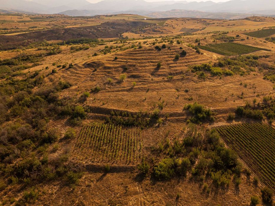 Продава се Парцел в с. Долно Спанчево, Област Благоевград - 4800 кв.м за 40 €/кв.м - Снимка #3