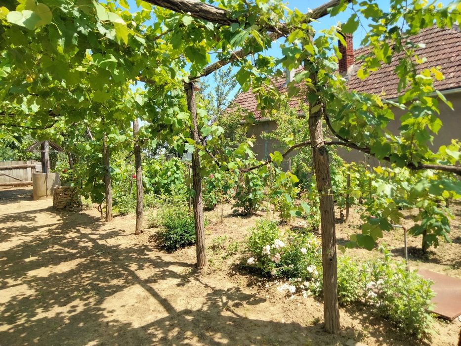 Vând casă în Voivozi, comuna Șimian, judetul Bihor