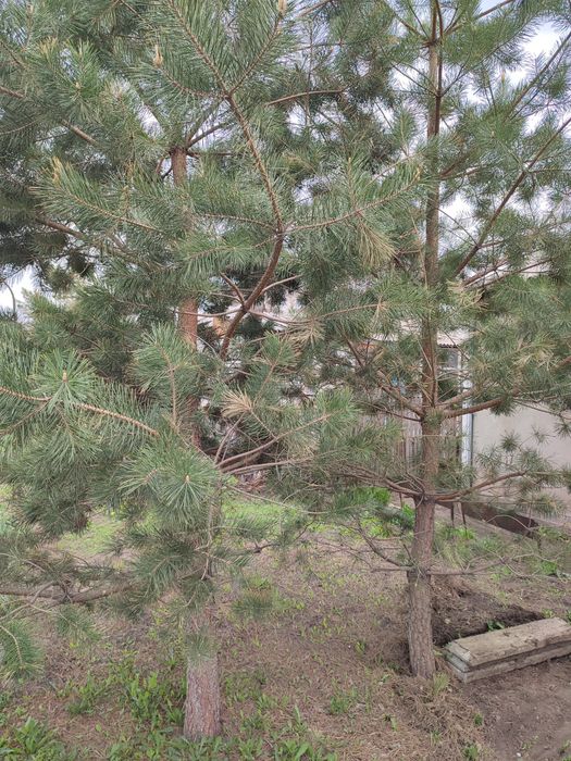 Продается теплый, уютный дом