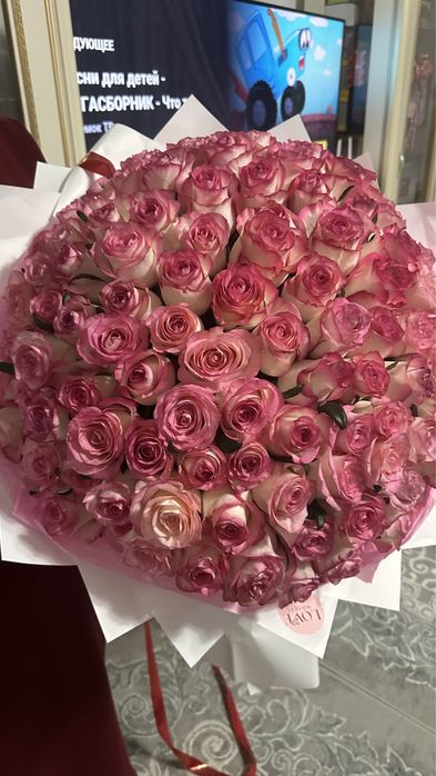 Свежая букет светов