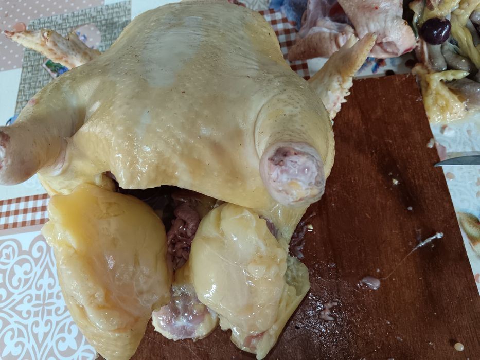 Găini albe de carne 4-4,5 kg