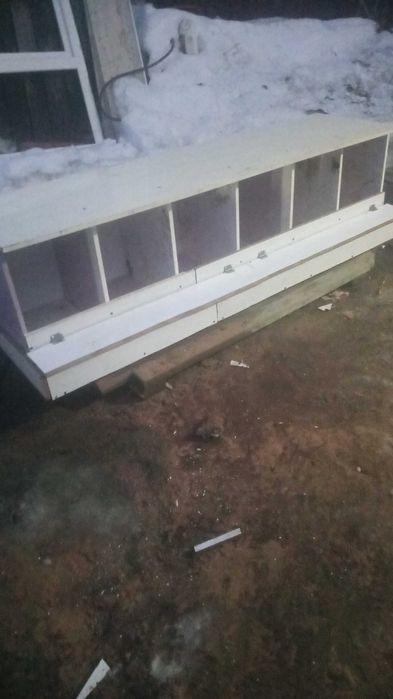 Гнездо для несушек