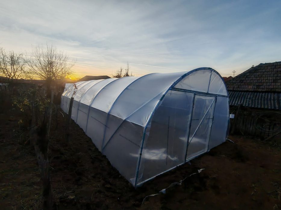 Sere solarii Flori Legume Solar