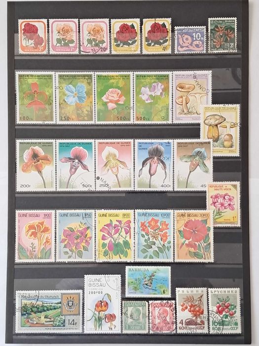 Пощенски марки тема ”Растения”.