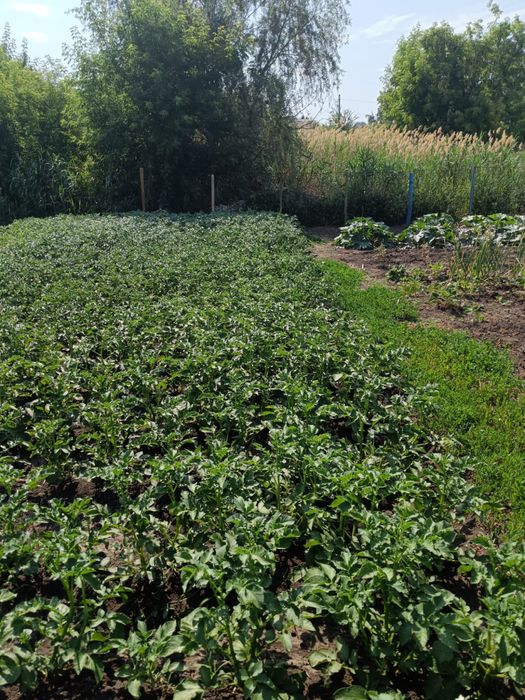 Продам дачу на 2-й дачной направо