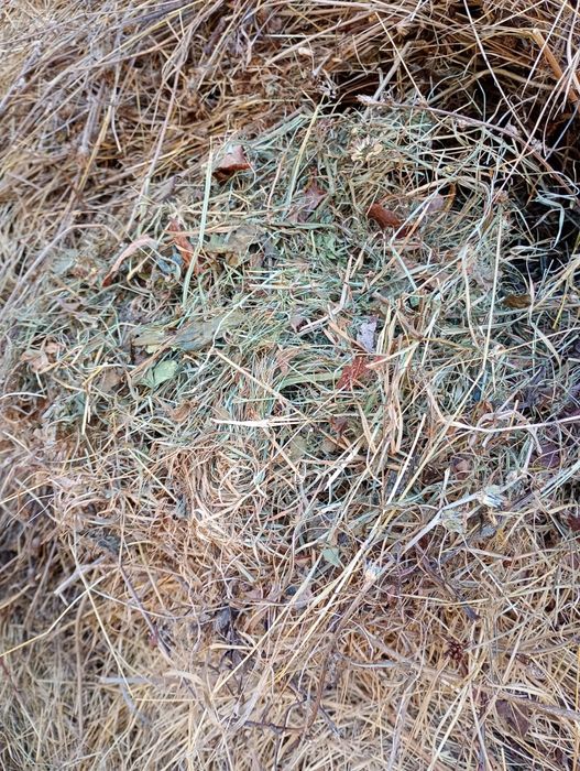 Vând baloți de otavă