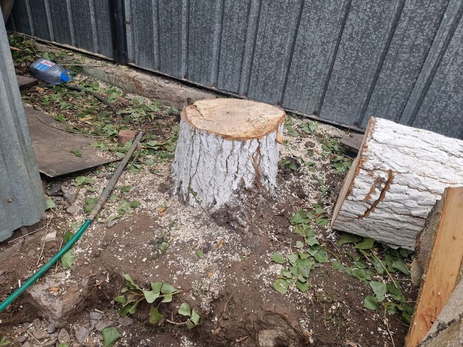 Спилим дерево  распилим на дрова.
