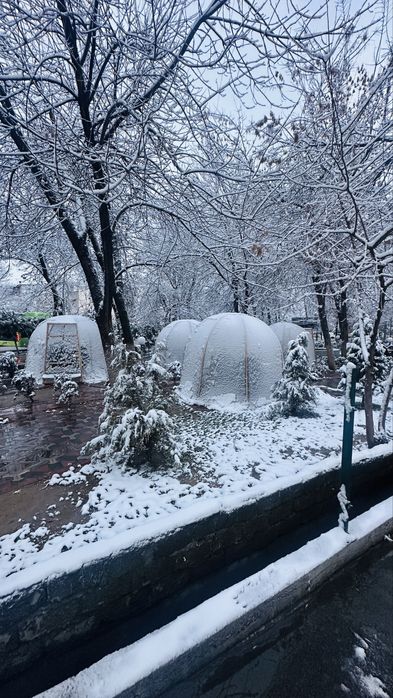 Tayyor kapsulalar sotiladi.