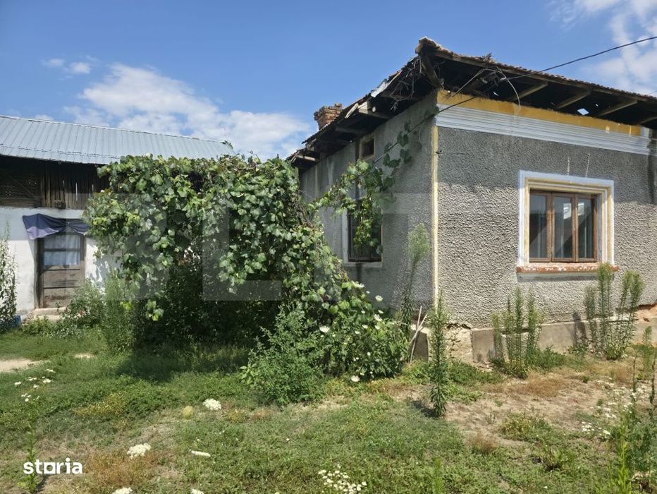 Teren 1.595 mp, constructii existente – Comuna Cobia,