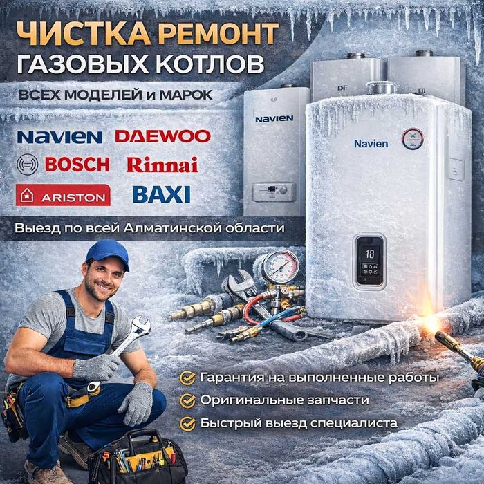 Чистка Ремонт газовых котлов Navien Daewoo Bosch Rinnai Ariston Baxi
