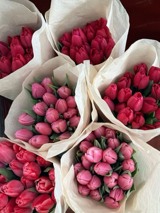 город Семей. Премиальные тюльпаны 600тг •все виды