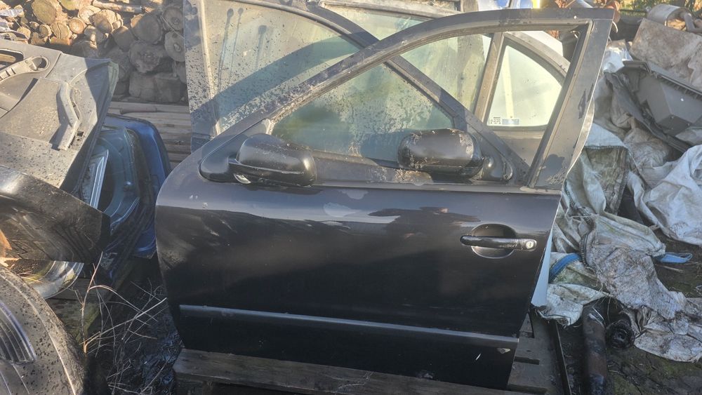 Portiera seat leon