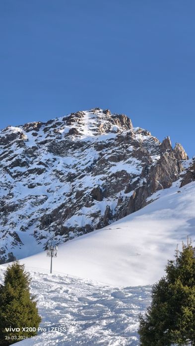 Продаётся Vivo X200 Pro