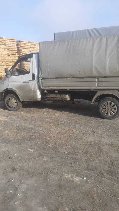 Газел гурзавой г