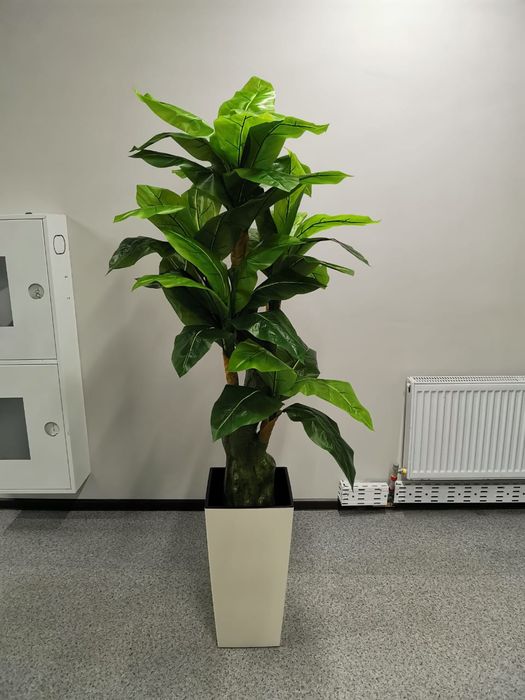 Деревья, пальмы искусственные. Большой выбор.