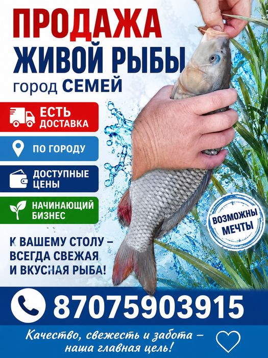 Продажа живой рыбы