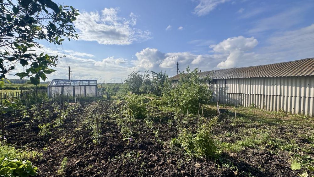 Продам дом г. Мамлютка