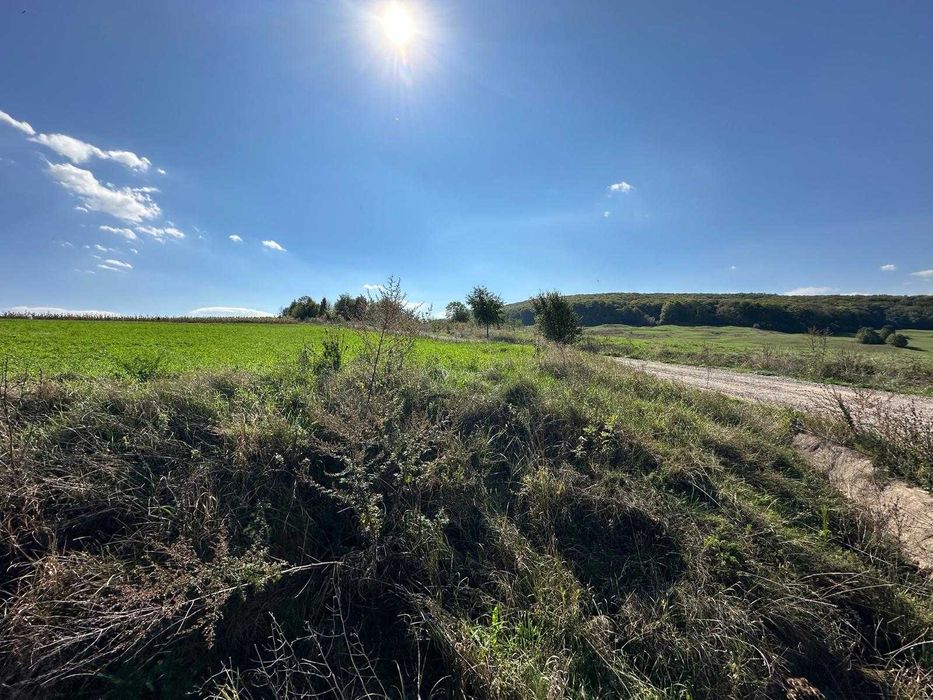 Teren de vanzare in Adancata Suceava 43ari pretabil ansamblu imobiliar