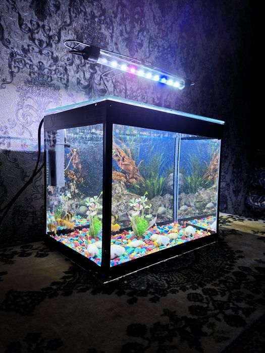 Аквариум очень красивый