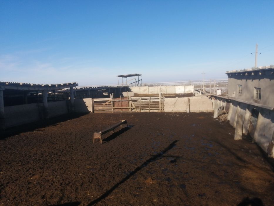 Продается Фазенда