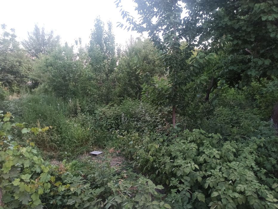 Uy 5 xona 2 ta korpus umumiy 10 xona 10 sotik tomorqa maydon