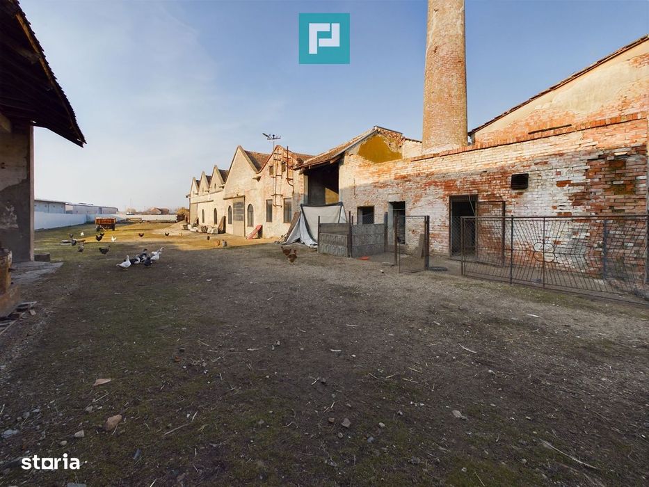 Teren și hale pe calea Aradului în Periam